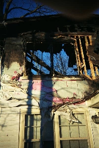 Image Image