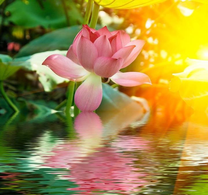 Will There Be a “Quantum Awakening” in December 2012?