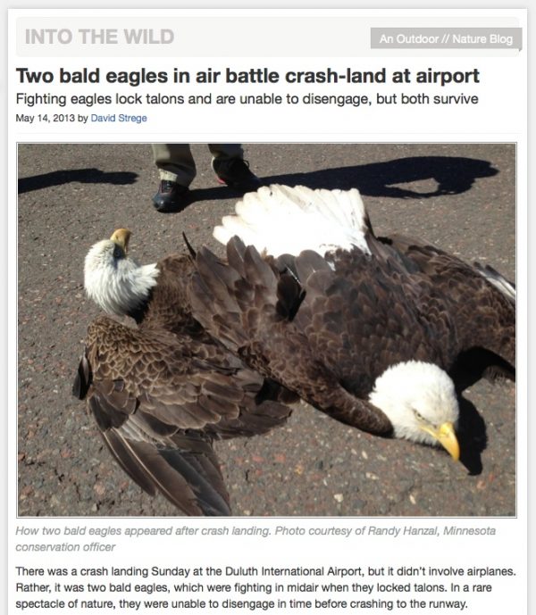 The Nightmare is Almost Over: Part I | Divine Cosmos