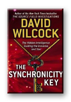 The Synchronicity Key (Book)