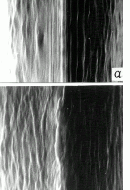 CHAPTER 09: HARNESSING TORSION WAVES AND CONSCIOUSNESS