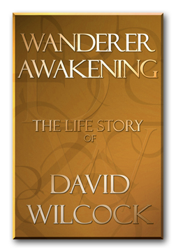 Wanderer Awakening: (online book)